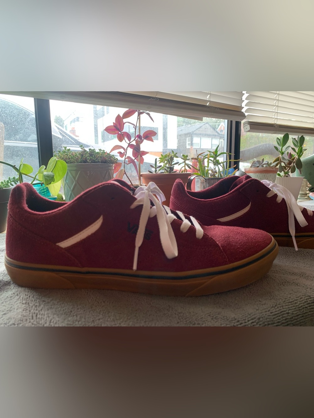 Vans Men’s Low-Top Sneakers in Burgundy with White Accents